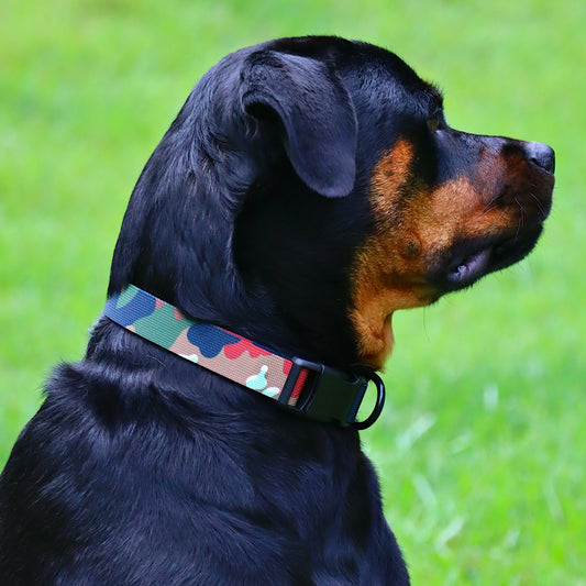 K9 Collar