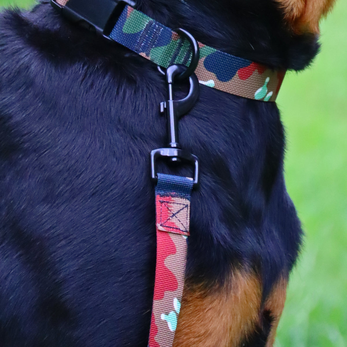 K9 Leash