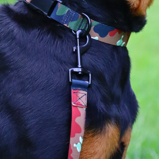 K9 Leash